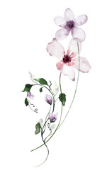 Watercolor bouquet with wild flowers, branches, leaves, twigs. Violet and pink flowers. Hand drawn floral illustration