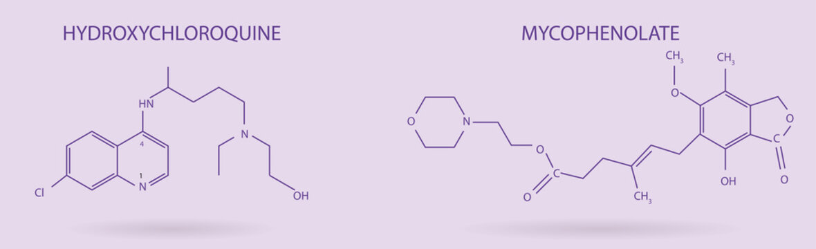 Chemical structure of drugs for Lupus treatment.Hydroxychloroquine,Mycophenolate