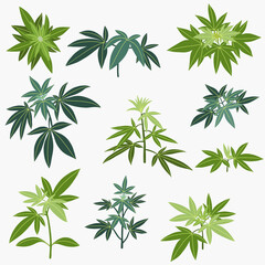 Simplicity cannabis plant freehand drawing flat design collection.