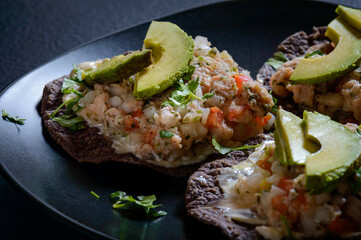 Fish Ceviche on Blue Corn Tostadas, Mexican Food