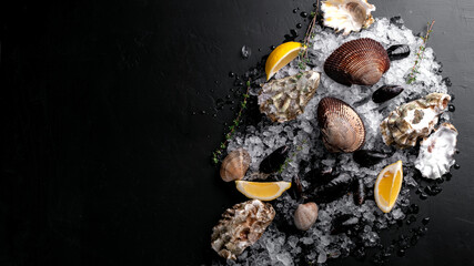 Raw Clams vongole shells, mussels, oysters and lemon with ice on black slate. Fresh shellfish for cooking with seasonings on the table