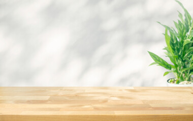 Selective focus.wood table top and plant pot and white background.