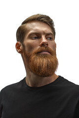 Male beard and moustache. Sexy male, brutal macho, hipster. Caucasian bearded model man isolated on...
