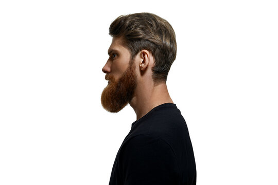 Close-up image of serious brutal bearded man on white background. Perfect beard. Hairstyle concept
