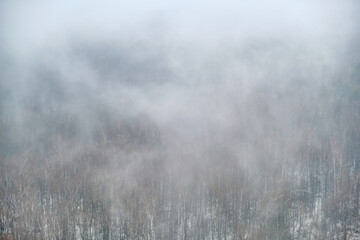 Evaporation of moisture over a winter forest with trees in the snow. Fog on snow-covered nature in a bleak landscape