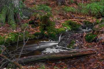 Cerveny creek with Cerveny waterfall in Jizerske mountains in spring morning