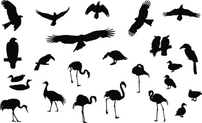 A set of black silhouettes of waterfowl, birds of prey and other birds. Eagles, crows, flamingos and other birds isolated on white background. Vector illustration.