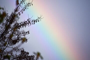 Rainbow