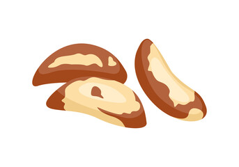 Obraz premium Brazil nut vector icon. Cartoon flat illustration of nuts. Organic food.