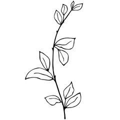 A simple line drawing of plants. Vector graphics.