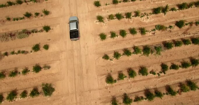 Aerial Forward Shot Of Pick Up Truck Moving On Road In Field During Sunny Day - Djerba, Tunisia