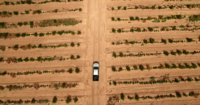 Aerial Top Forward Beautiful View Of Pick Up Truck In Field On Sunny Day - Djerba, Tunisia