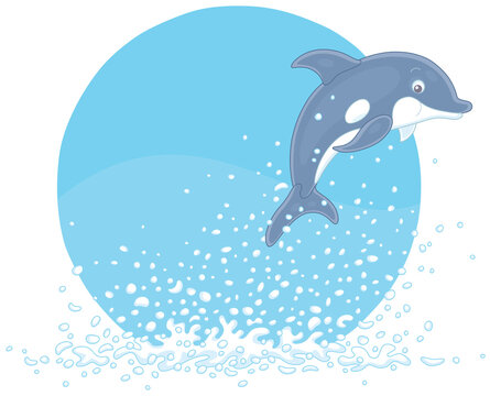 recommend clip art: Merry playful little dolphin in splashes jumping out of water in a tropical sea, vector cartoon illustration isolated on a white background