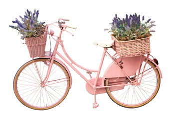 Fototapeta na wymiar Old cute pink painted bicycle with baskets and flowers in springtime isolated on white for easy selection - Fashion Cut Out concept