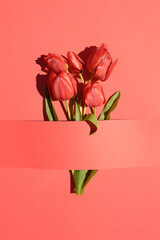 Creative layout with red tulip flowers on a red background. Flat lay. Monochromatic nature concept...