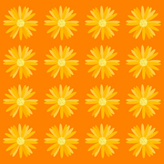 Pattern of orange daisies special for posters and prints