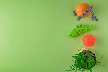 Juicy and nutritious grass, pet toys on a green background. Top view. Copy space.