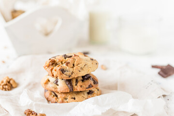 Malted Milk Chocolate Chip Cookies 