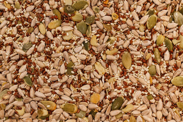 Mix of seeds for a salad. A pile of mixed seeds.