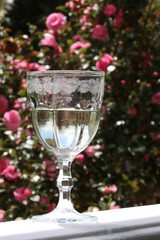 A glass of white wine with a rose garden background