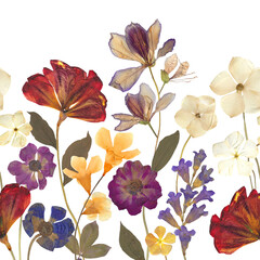 Pressed summer flowers seamless border  Vibrant botanical pattern Spring floral arrangement
