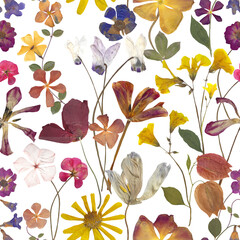 Pressed summer flowers seamless pattern  Colorful dry flowers composition Spring blossom Vibrant botanical print
