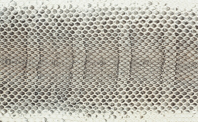 Gray snake skin pattern background. Reptile leather texture.