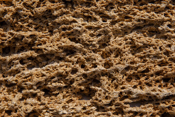 The surface of the yellow shell stone in close-up.