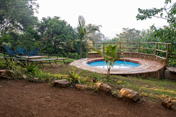 tropical garden with a pool