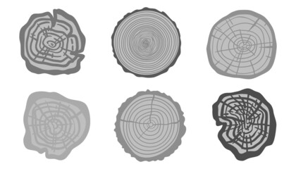 Hand drawn tree rings. Set of cross section of the tree. Trunk in section. Freehand art. Black and white illustration