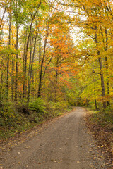 Fototapeta na wymiar Gravel Country Road in Autumn Forest | Amish Country, Ohio
