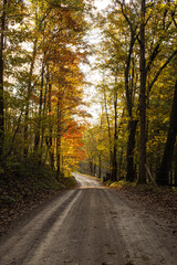 Gravel Country Road in Autumn Forest | Amish Country, Ohio