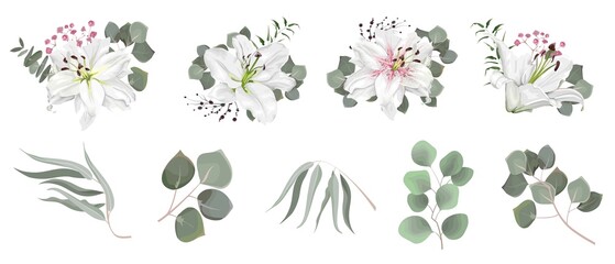 Vector set of flowers and herbs. White lily, various plants, leaves, grass. Collection of greenery, eucalyptus.