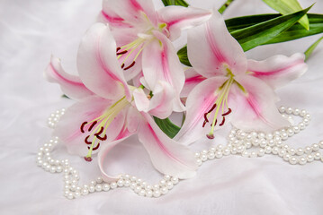 Fototapeta na wymiar The branch of white lilys on white fabric background 
