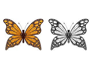 Obraz na płótnie Canvas Butterfly insect set. Butterflies colorful and black group. Vector illustration isolated on white.