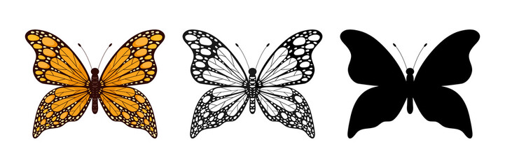 Butterfly insect set. Butterflies colorful, black  and silhouette group. Vector illustration isolated on white.
