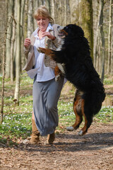 dog bites woman