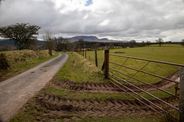 landscape with fence