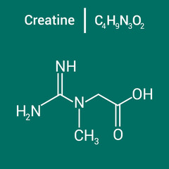 chemical structure of creatine (C4H9N3O2)