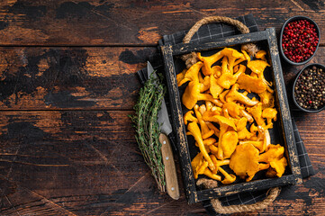 Harvested Raw Chanterelles mushrooms in a rustic tray.  Dark Wooden background. Top view. Copy space - obrazy, fototapety, plakaty