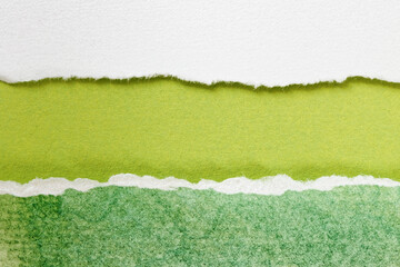 Green torn paper background. Sheets of ripped edge papers with copy space for text.