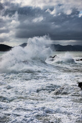 waves crashing on rocks