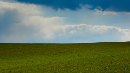 green field and blue sky