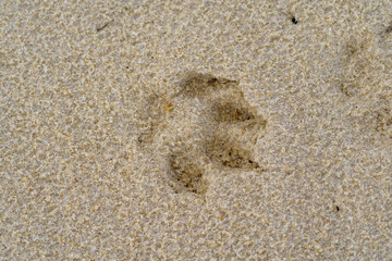 Portugal - Vacation with a view - Footprint - cut the carbon