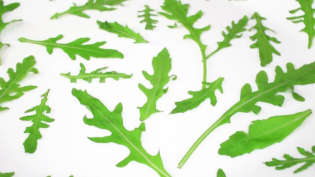 Green Rukkola Ruccola Salad Closeup Video