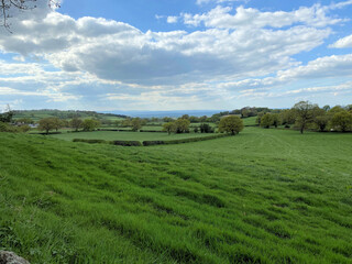 A view of the Cheshire Countryside at Peckforton