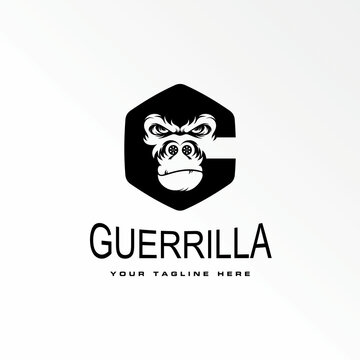 gorilla head angry expression in hexagon like letter G or C font with film on nose graphic icon logo design abstract concept vector stock. Can be used as a symbol associated with animal or initial