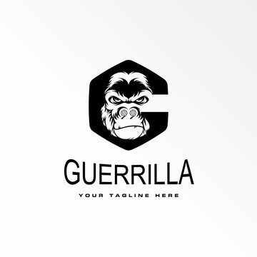 gorilla head in angry expression with in hexagon like letter G or C font image graphic icon logo design abstract concept vector stock. Can be used as a symbol associated with animal or initial