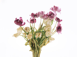 Bouquet of faded flowers