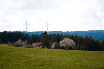 Fototapeta na wymiar wind power station